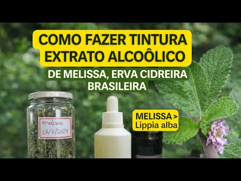 Como fazer tintura EXTRATO ALCOÓLICO de melissa,  erva cidreira brasileira