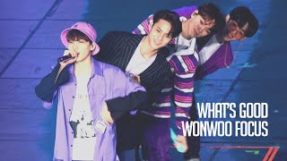 190309 캐럿랜드 What&#39;s Good 왓츠굿 세븐틴 원우 직캠