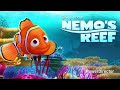 NEMO S REEF All Sound Effects