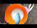Cara Membuat Lem Kertas Dari Bahan Buah Singkong