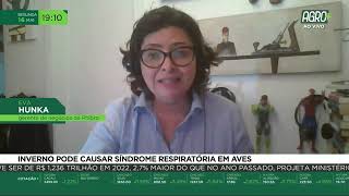Miniatura do vídeo