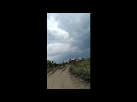 4) De Bogotá a Puerto Carreño  - ETAPA 4: Pto Carreño Paz de Ariporo