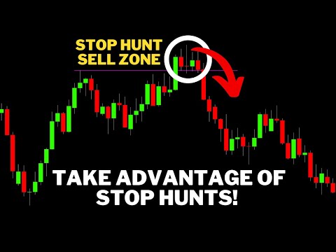 Highly Profitable Stop Loss Hunt And Reclaim Trading Strategy Proven With 100 Trades