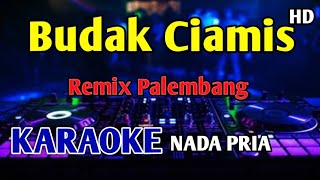 Download lagu BUDAK CIAMIS KULIAH DI PALEMBANG - KARAOKE NADA PRIA #Remixpalembang mp3