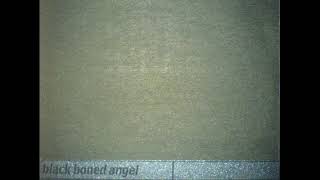 Black Boned Angel - Eternal Love (FULL 3" CDr EP - Battlecruiser - 2004 - Drone Doom Metal)