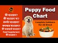 Homemade Puppy Food Puppy Food Chart Best Puppy Food Bengali QDogS