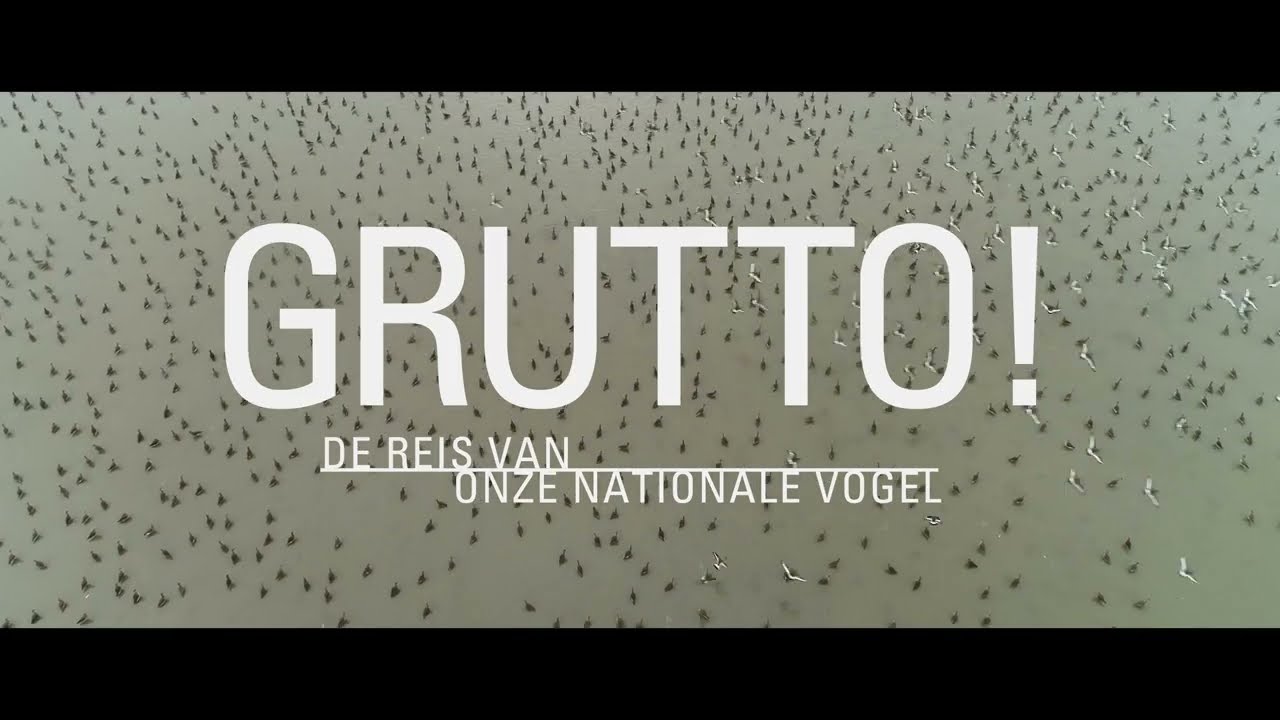 Grutto! - de officiële trailer
