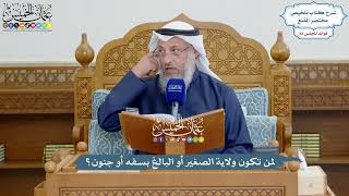 3758 - لمن تكون ولاية الصغير أو البالغ بسفه أو جنون؟ - عثمان الخميس