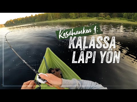 YÖTÖN YÖ HAUKIKALASSA – Tärppejä hiljaisessa yössä