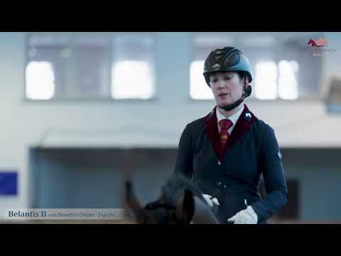 Belantis II v. Benetton Dream x Expo'se