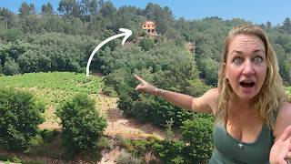 Our Portugal Farm Just Got MUCH Bigger | FULL TOUR