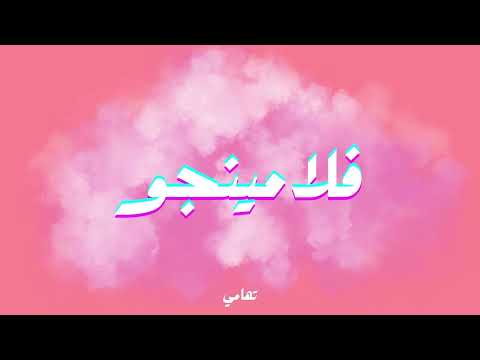 FLAMINGO - TOHAMY  فلامينجو - تُهامي Prod by Tohamy