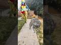 कृष्ण भगवान ने राक्षस को मारा Shortsvideo Trending T