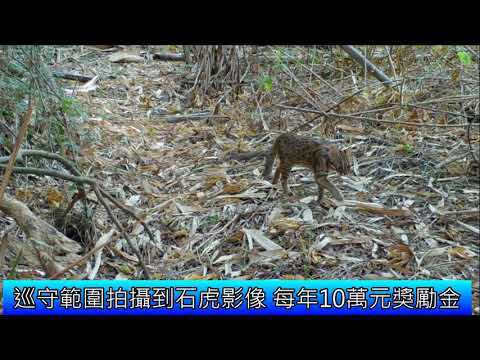 頒發友善石虎生態給付試辦計畫獎勵金