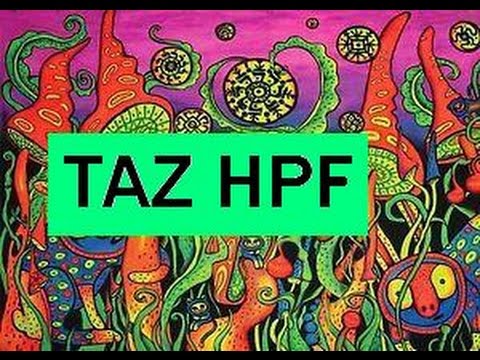 [Hard Tek #111] Taz HPF - Baby's World // Son de teuf