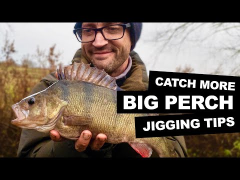 BIG PERCH FISHING RIGS - JIGGING AND JIG HEADS