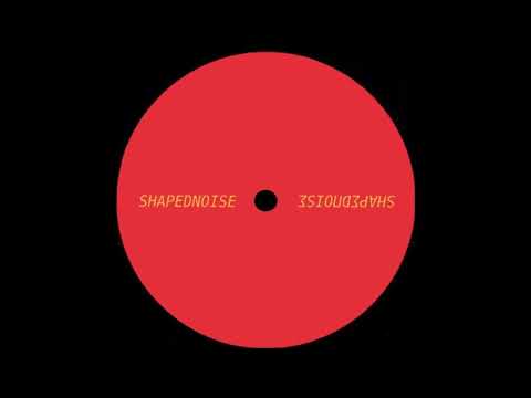 Shapednoise ‎- The Existence Of A Vital Reality [CCCP11]
