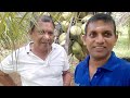 අධි ඝණත්ව පොල් වගාව අක්කර භාගයයි පොල් 