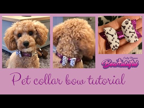 How to make a pet collar bow/ bow tie. How to make hair bows. DIY hair bows 🎀 laços de fita: