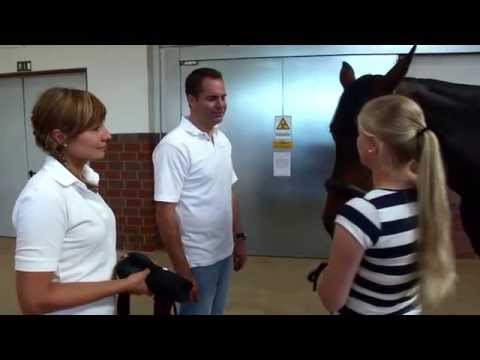 Pferdeklinik Bargteheide