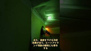 2025年4月2日