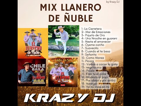 Mix Llanero de Ñuble - Krazy Dj - 2024
