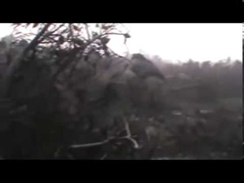 اشتباكات بين عناصر كتائب أنصار الشام وقوات النظام للسيطرة على حاجز مفرق قرية الشغور في محافظة إدلب