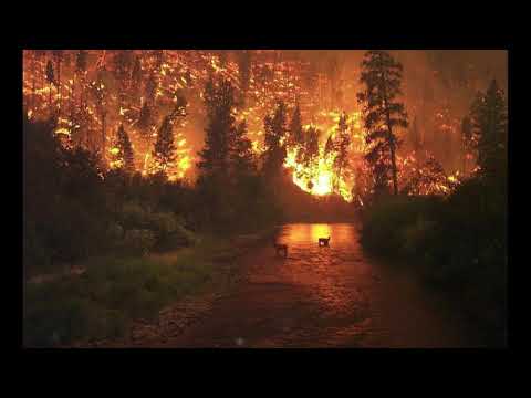 Tides of Devotion (I still want You) - Jordan Nichols