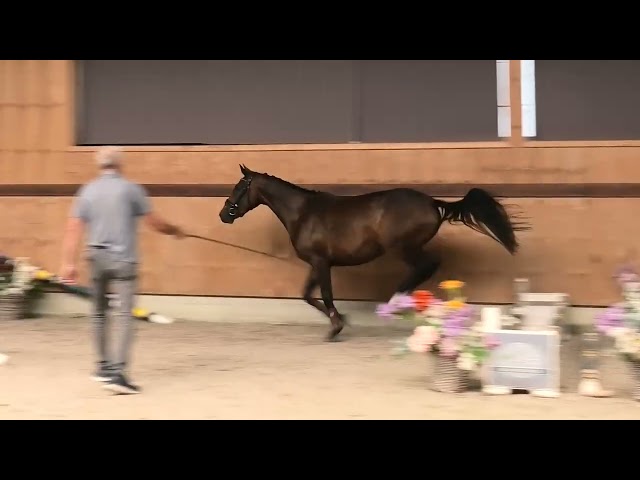 jumping