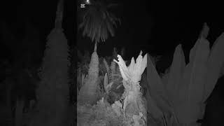 Download lagu Banglo Farah Part 1 mp3 Download lagu Banglo Farah Part 1 mp3