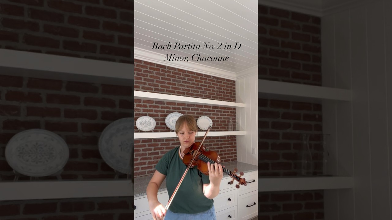 Promotional video thumbnail 4 for Violinist, Claire Mayfield