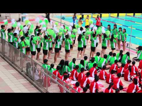 lskc swimming gala 2013 green house cheering team