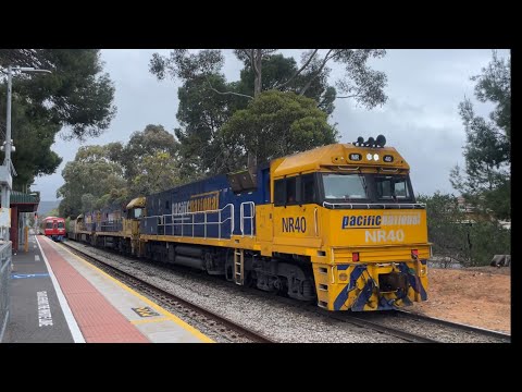 Pacific National Freight - 6MP5 - NR40, NR82, NR107