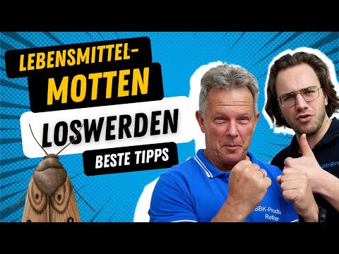 Lebensmittel-Motten bekämpfen & loswerden – alles, was du JETZT wissen musst 👈🆘
