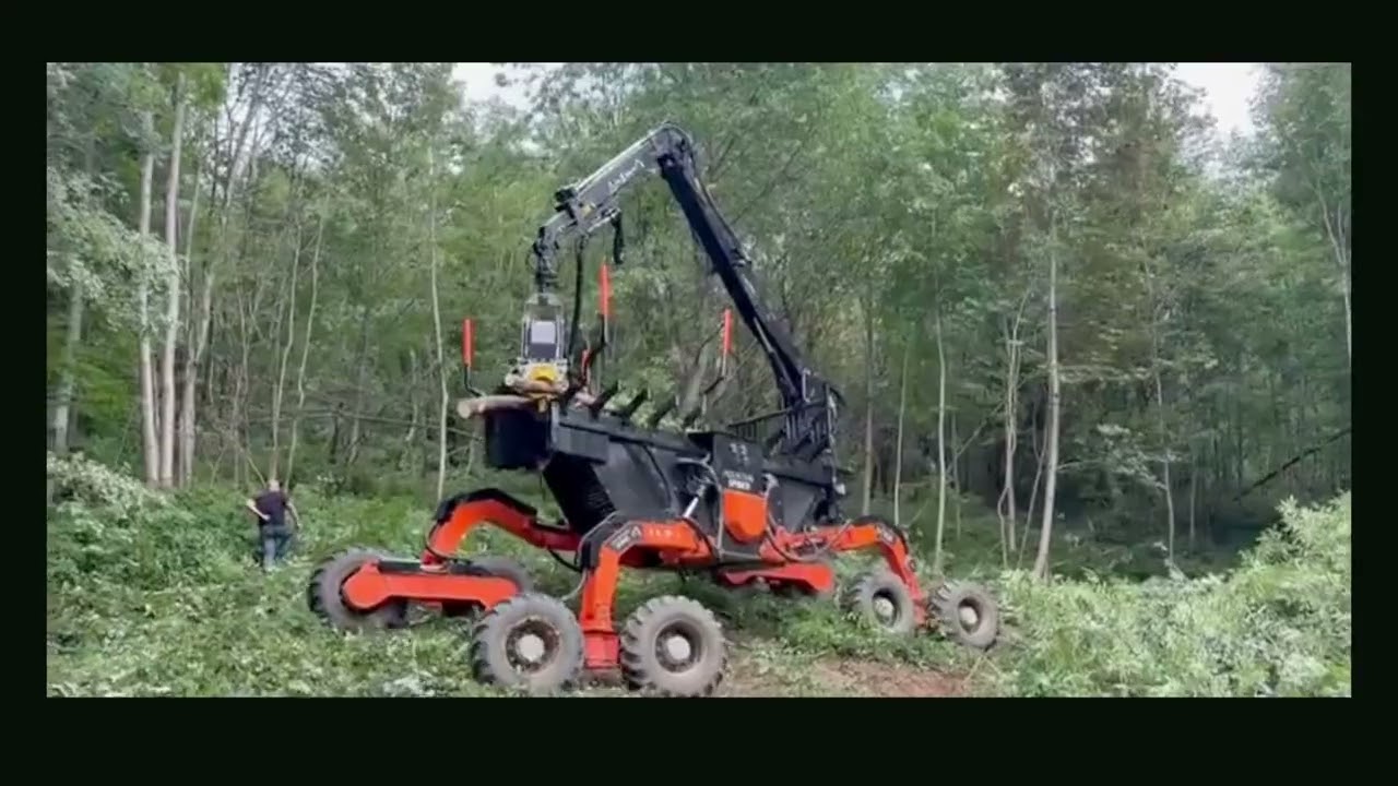 Mountain Spider Video