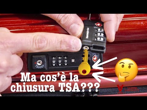 Pacchi di faccia di risposte di viaggio di legami La faccia inumidente fa i bagagli da un mirtillo