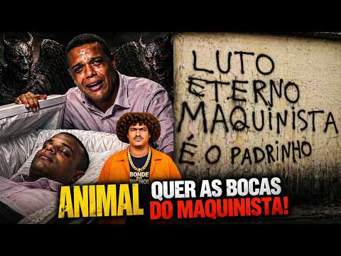assista vídeos: ANIMAL caminha CONTRA TUBE, e 'KATIARA' em SIMOES FILHO!