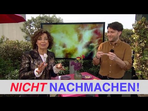 5 Tipps: Nicht nachmachen! | Übermedien.de