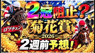 【菊花賞2026】ロブチェン3冠に黄色信号！？最大の刺客ダノンヒストリーが強すぎる！
