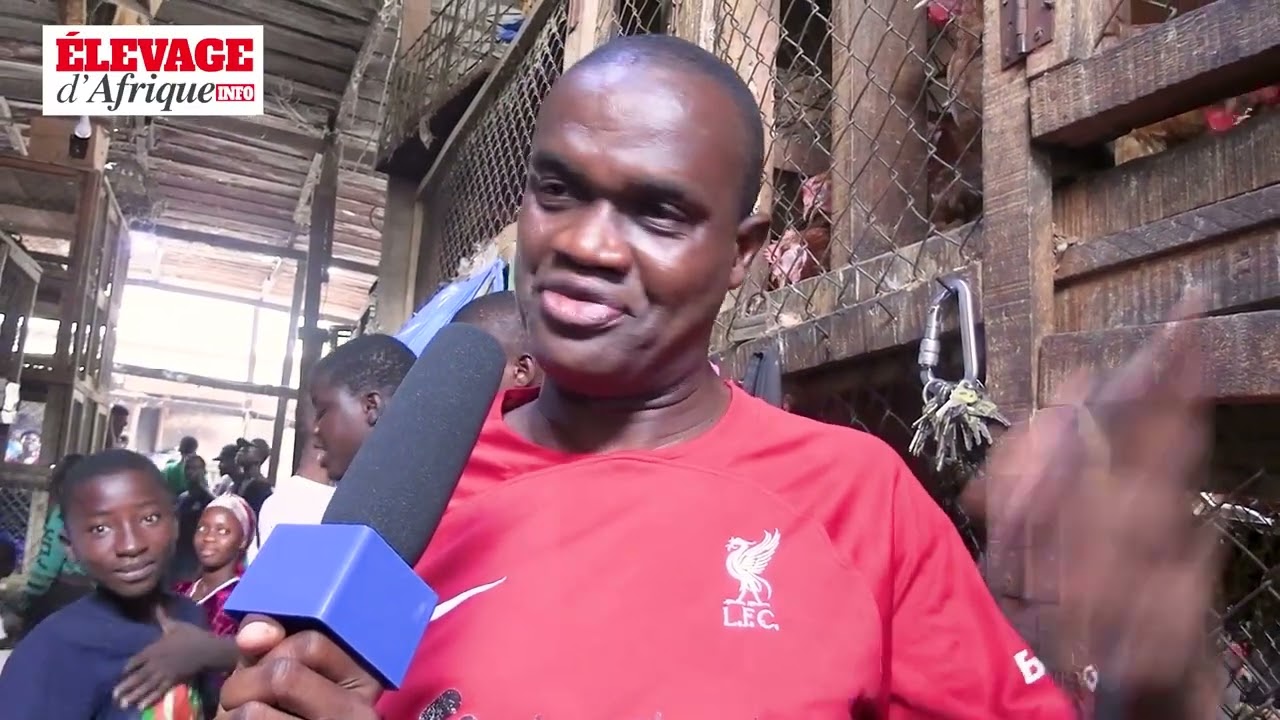 Des avis d’Abidjanais à la Veille des fêtes de fin d’année