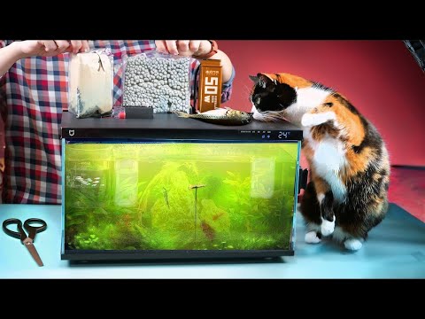 AKVÁRIUM Z BUDOUCNOSTI - O 60 DNÍ POZDĚJI