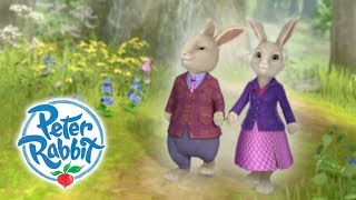 Peter Rabbit - Parents Day | Curious Bunnies | Cartoons for Kids