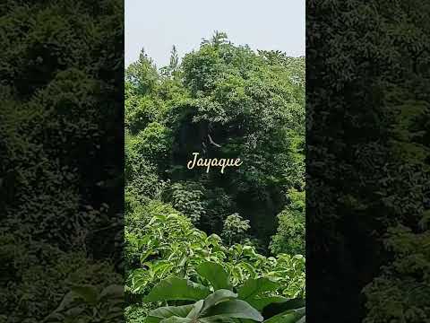 Cantón las Flores, Jayaque, La Libertad,  El Salvador.