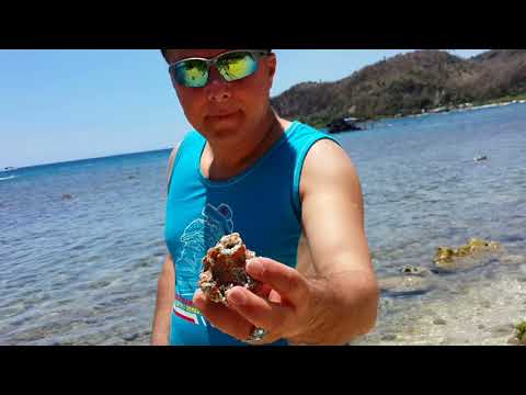 Katlang kunj shero  10 BLUE BEACH