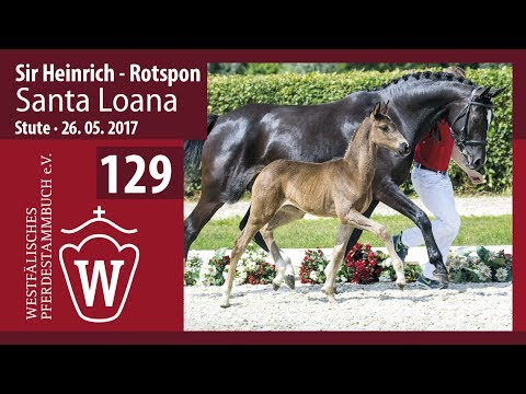 129 Santa Loana  Stute v. Sir Heinrich  - Rotspon