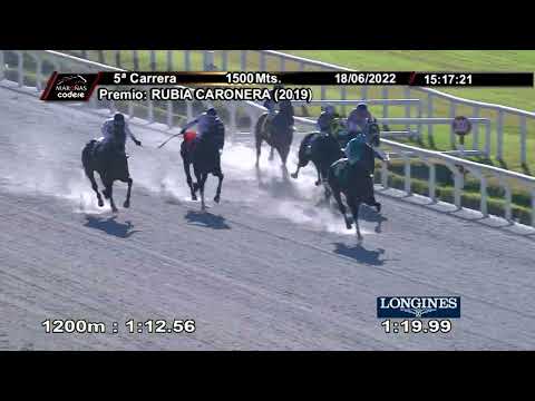 220618 c05 DOG QUALITY