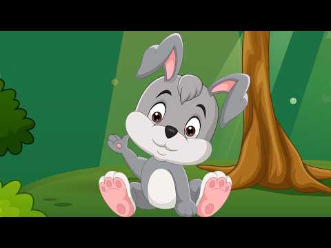 Allah'ı Arayan Tavşan - Bir Gün Bir Küçük Tavşan / Bibercik TV