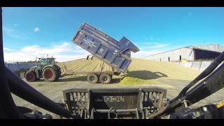 H c beales and co with Forage harvester at Great Ellingham