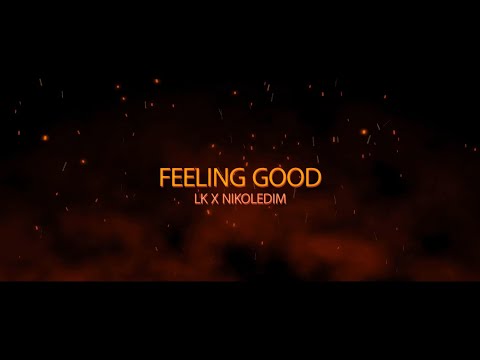 LK x NIKOLEDIM - FEELING GOOD