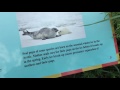 Detroit Zoo Pt 4